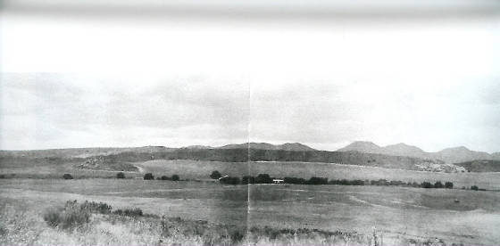 blossomvalley1914.jpg